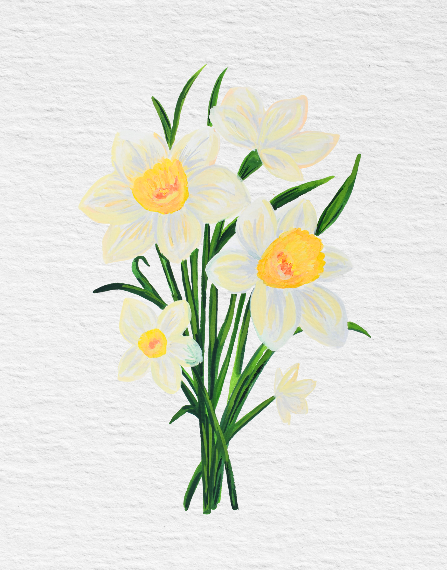 Daffodil Original