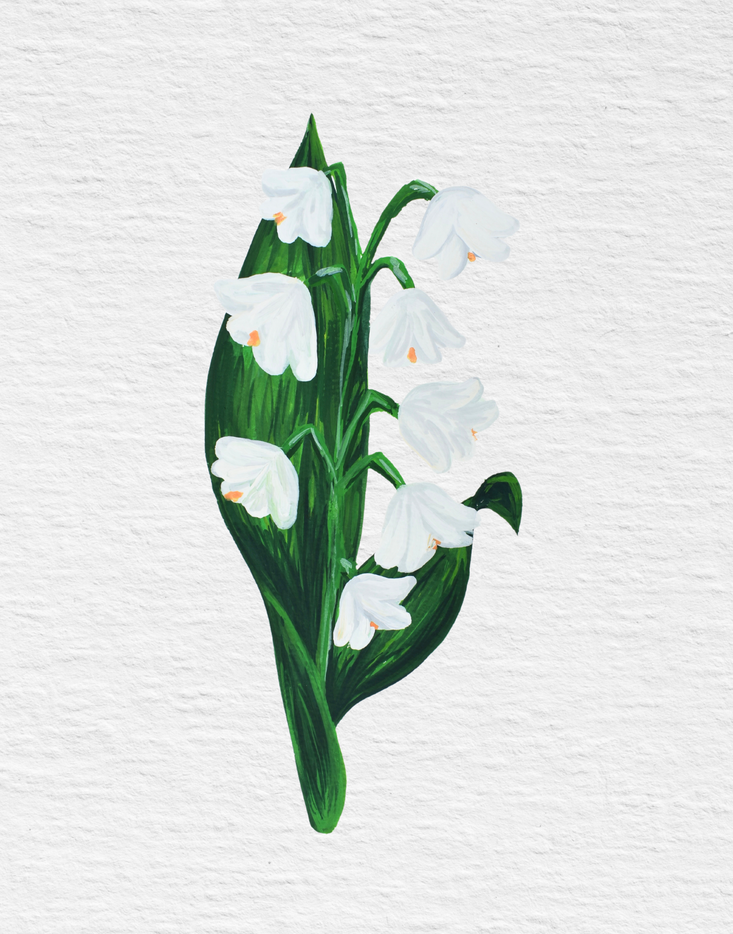 Lily of the valley Original
