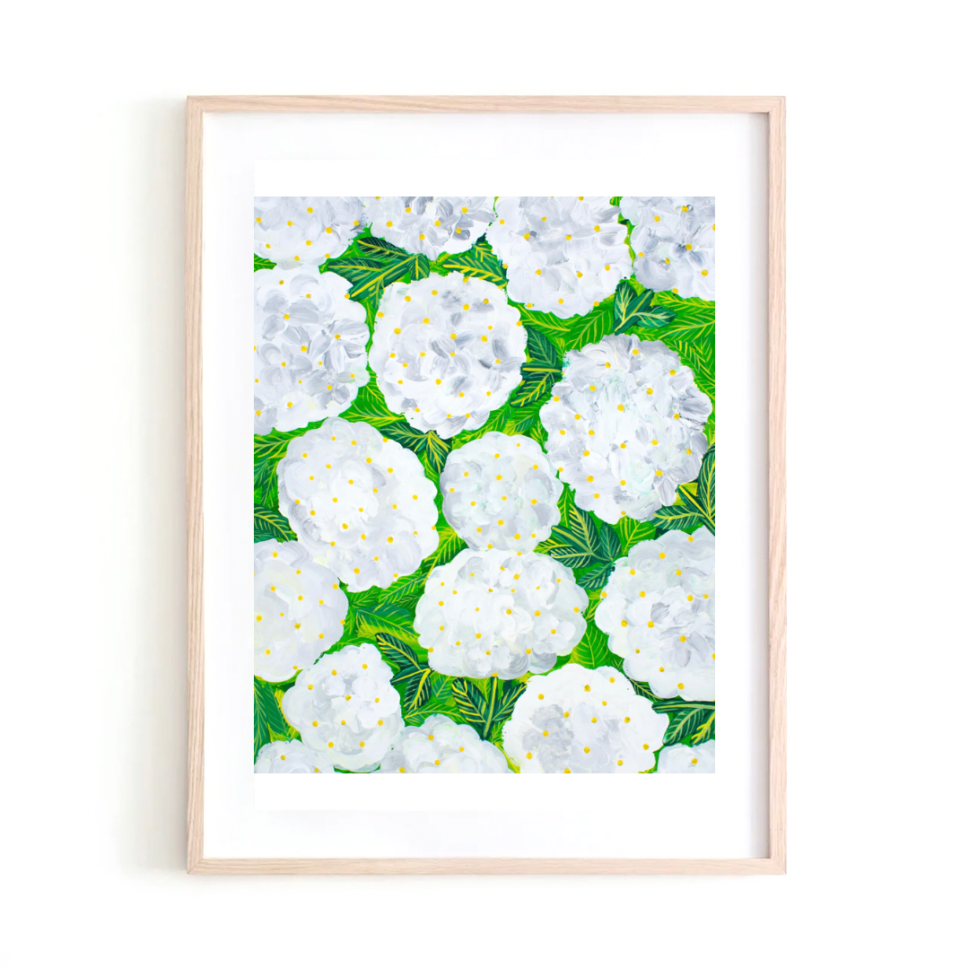 White Hydrangea art print