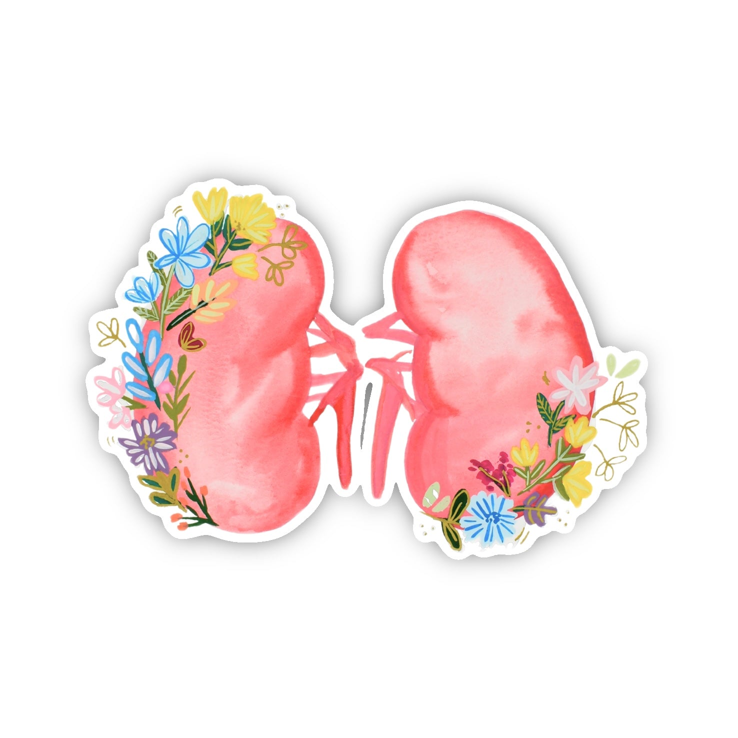Kidney 2 Sticker