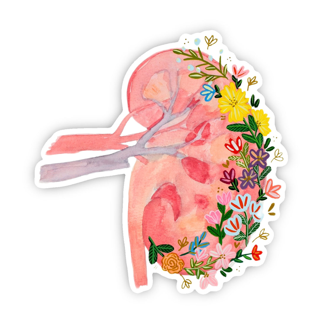 Kidney Sticker