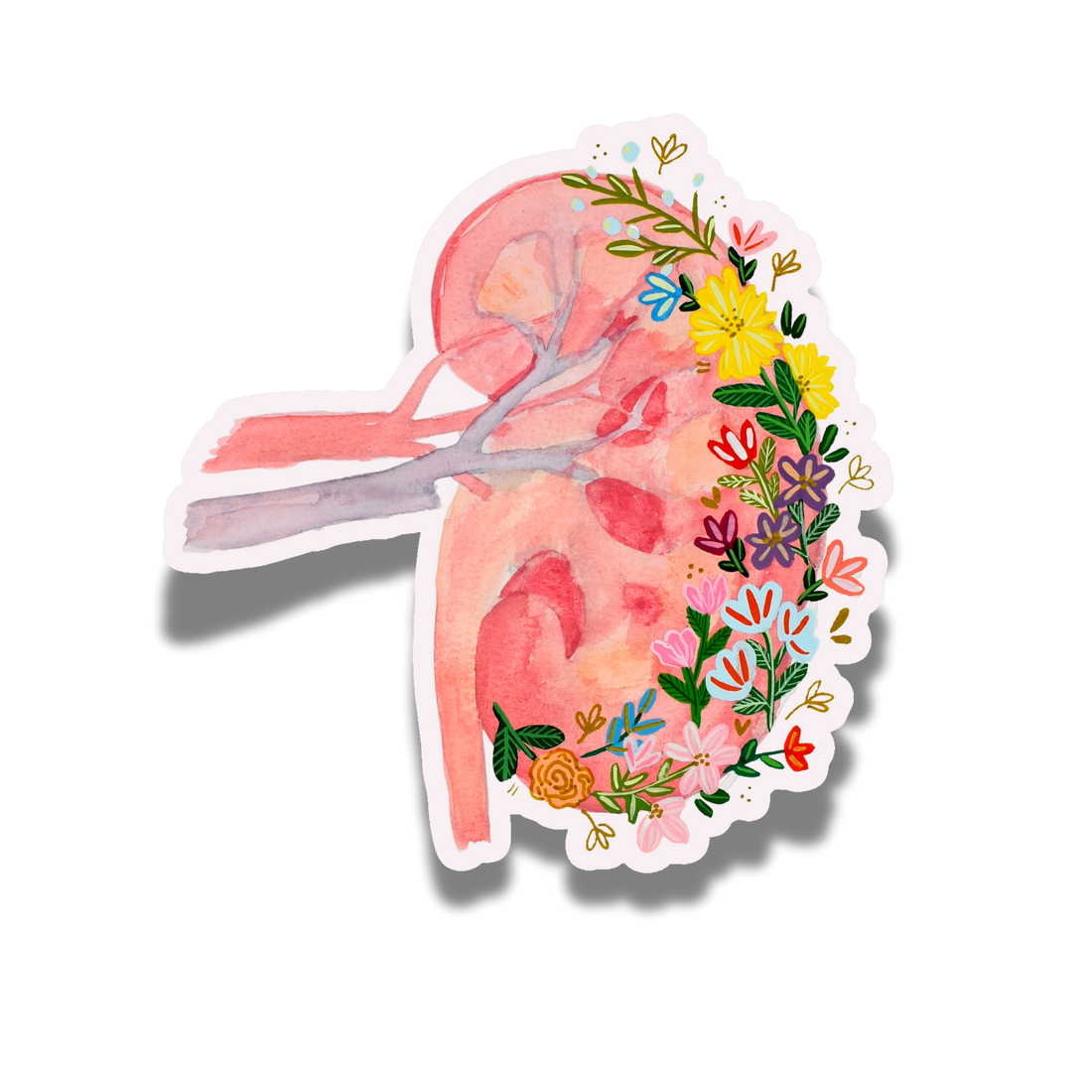 Kidney Sticker