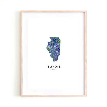 Illinois State Flower art print
