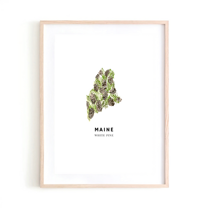Maine State Flower art print