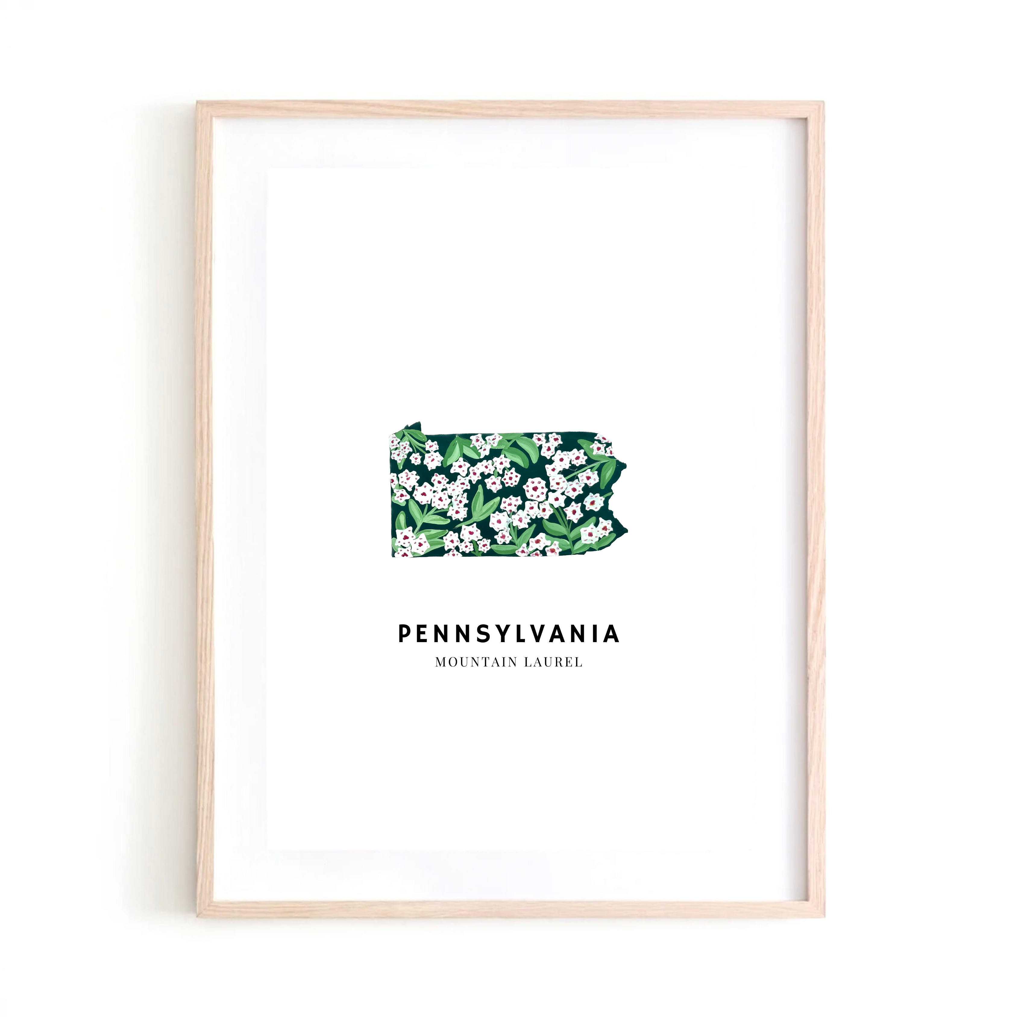 Pennsylvania State Flower art print
