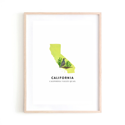 California State Bird art print