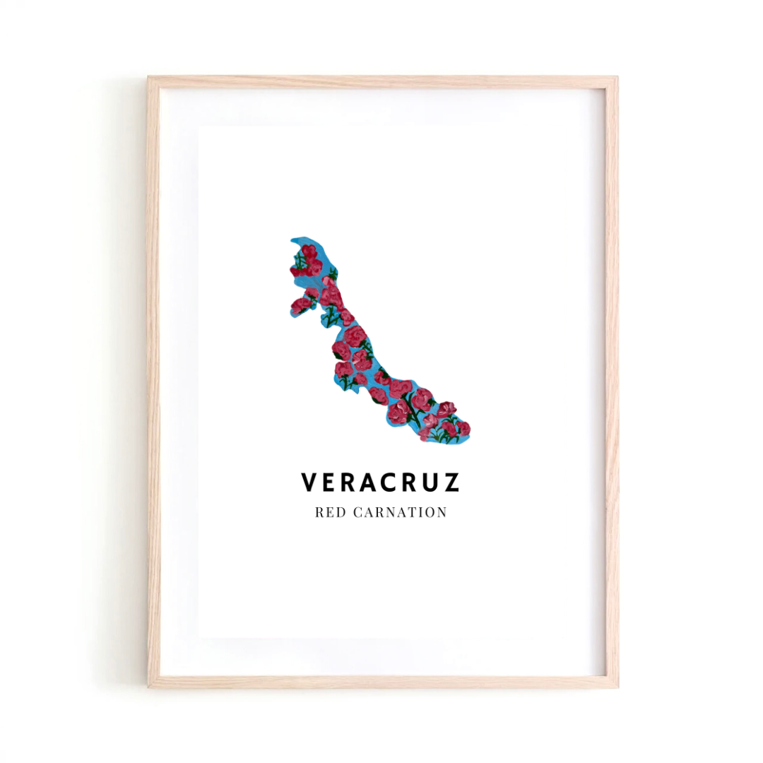 Veracruz, Mexico art print