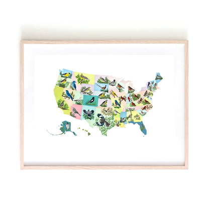 USA State Birds art print