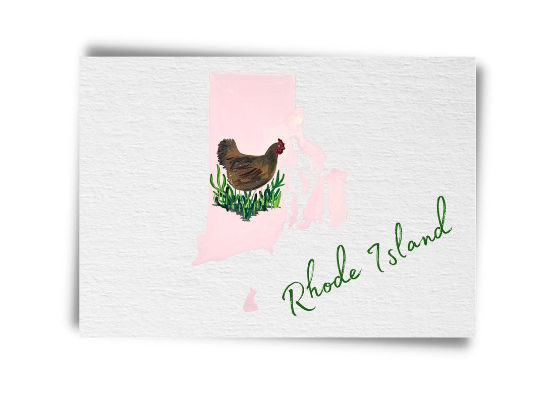 Rhode Island State Birds Postcard