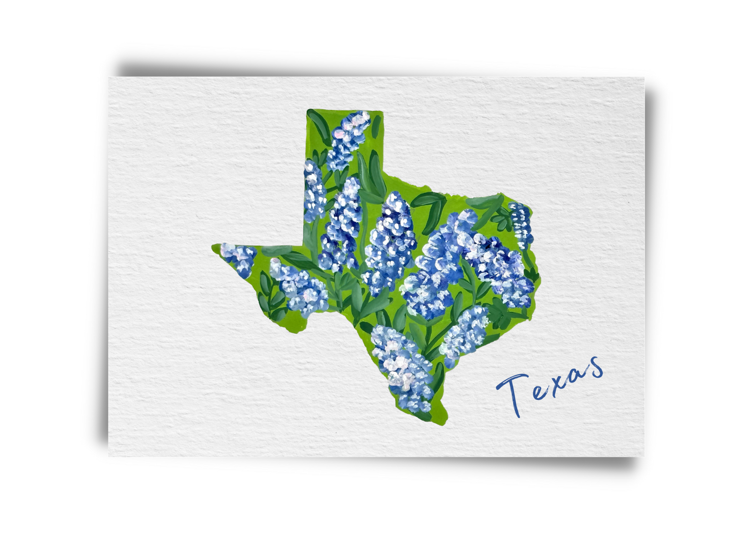 Texas State Flowers Postcard