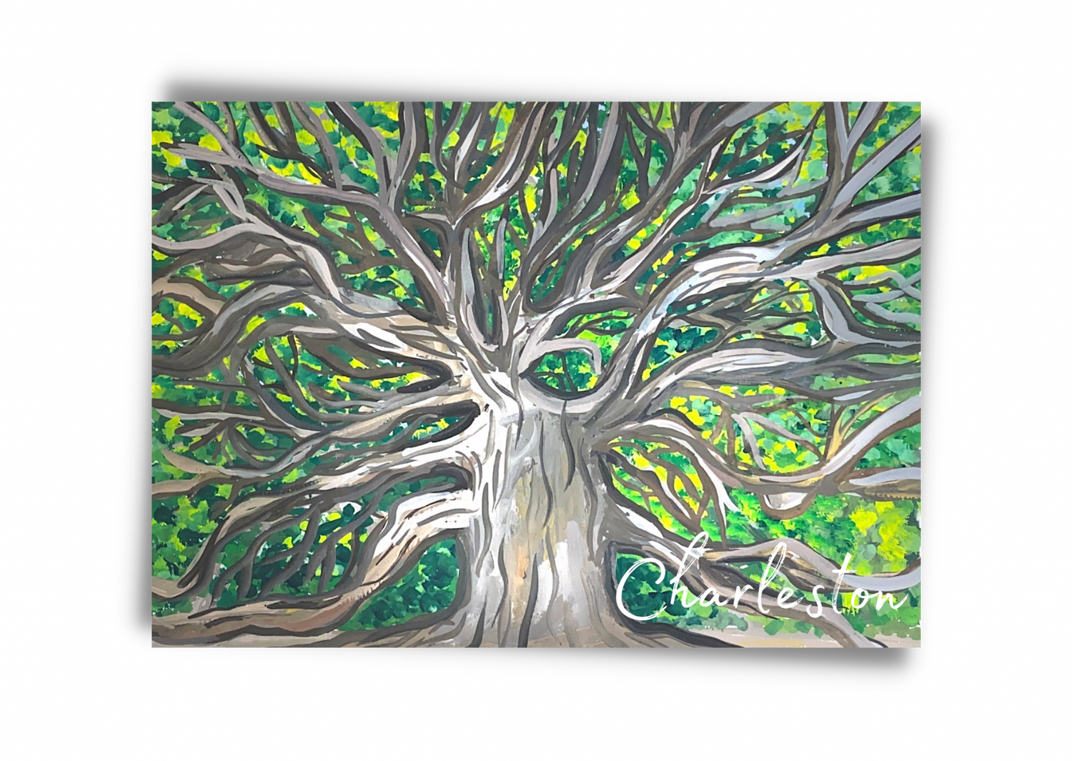 Angel Oak Tree Charleston postcard