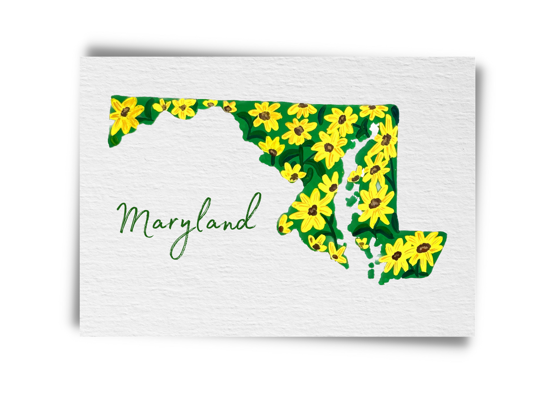 Maryland State Flowers Postcard