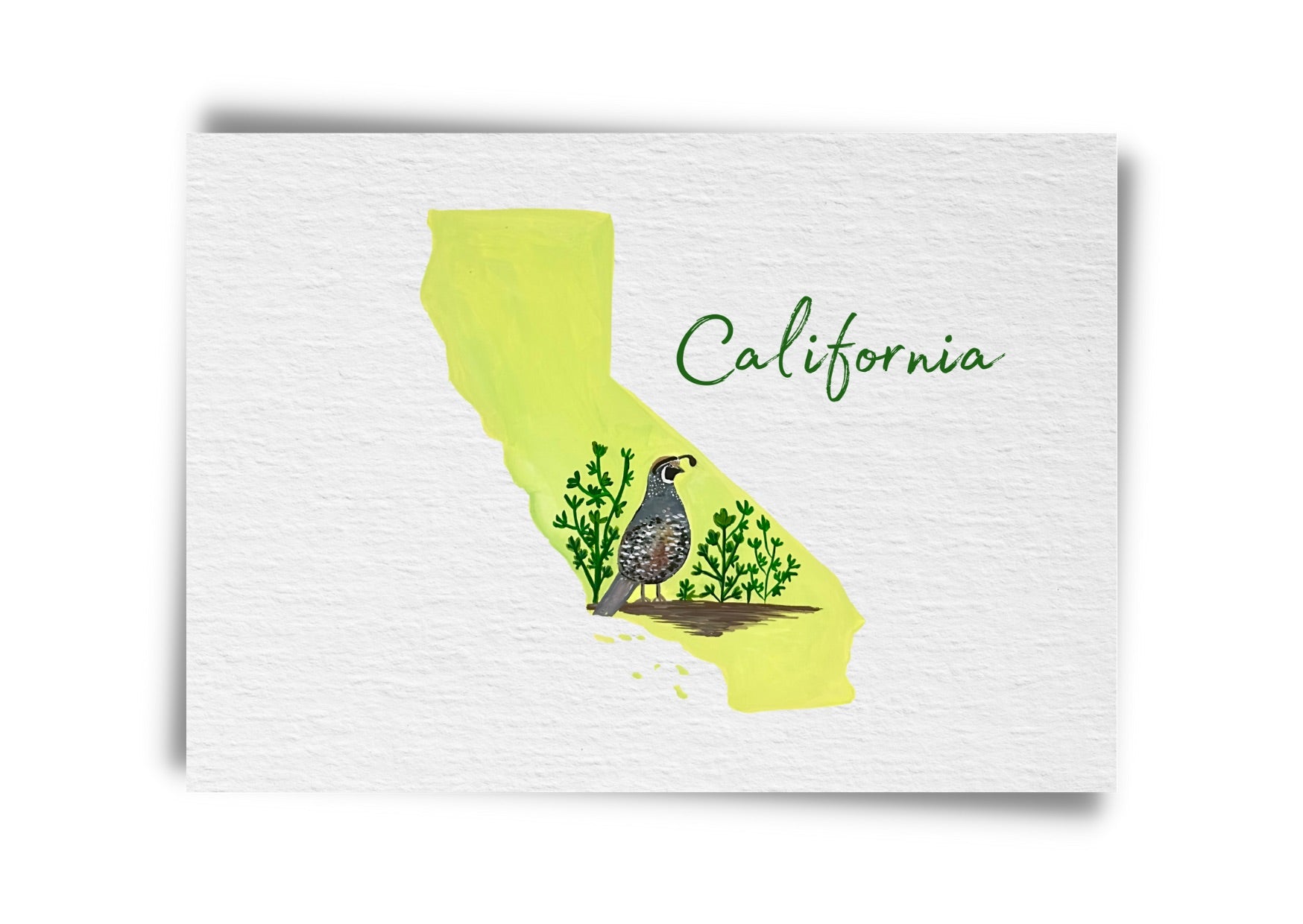 California State Birds Postcard