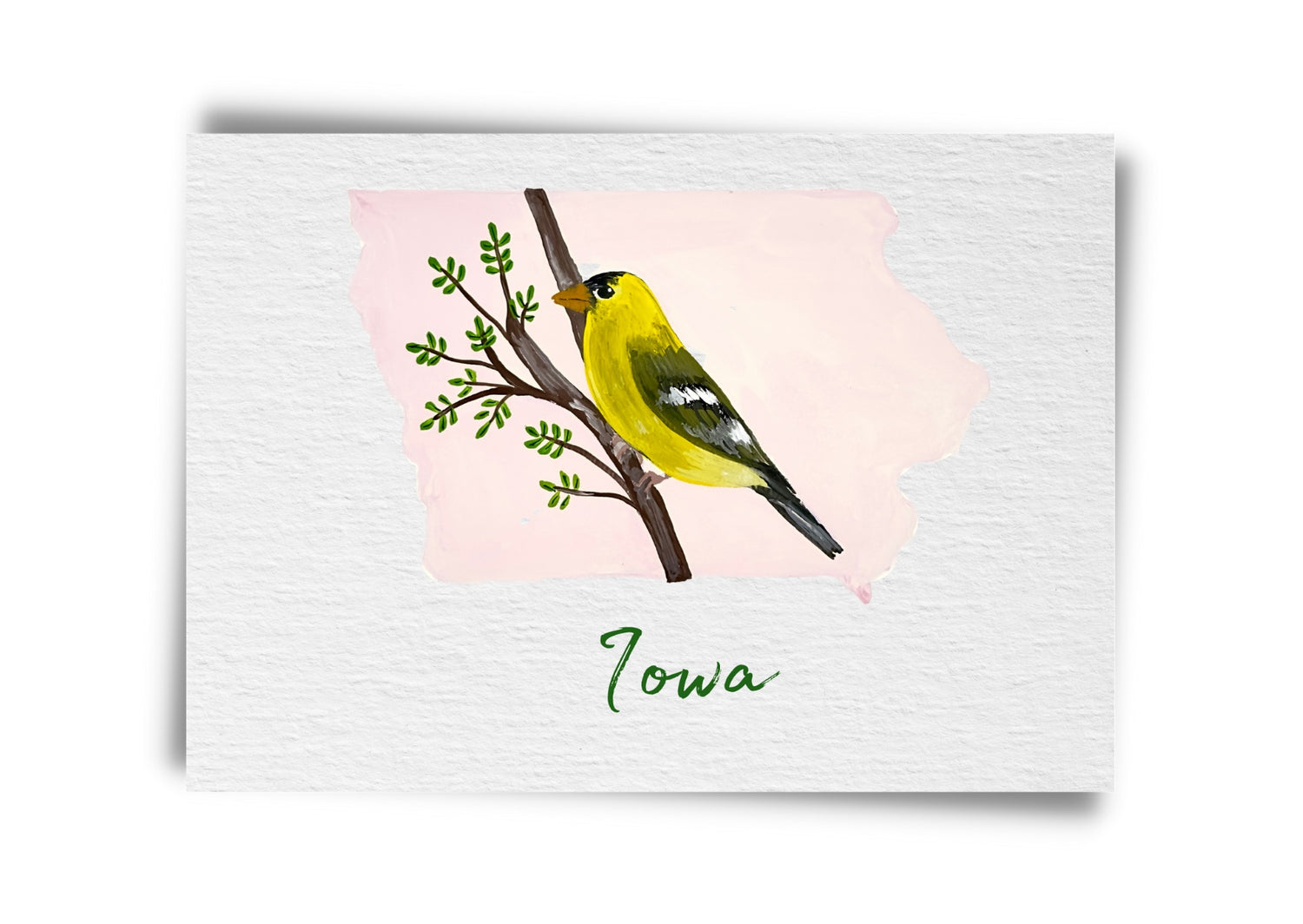 Iowa State Birds Postcard