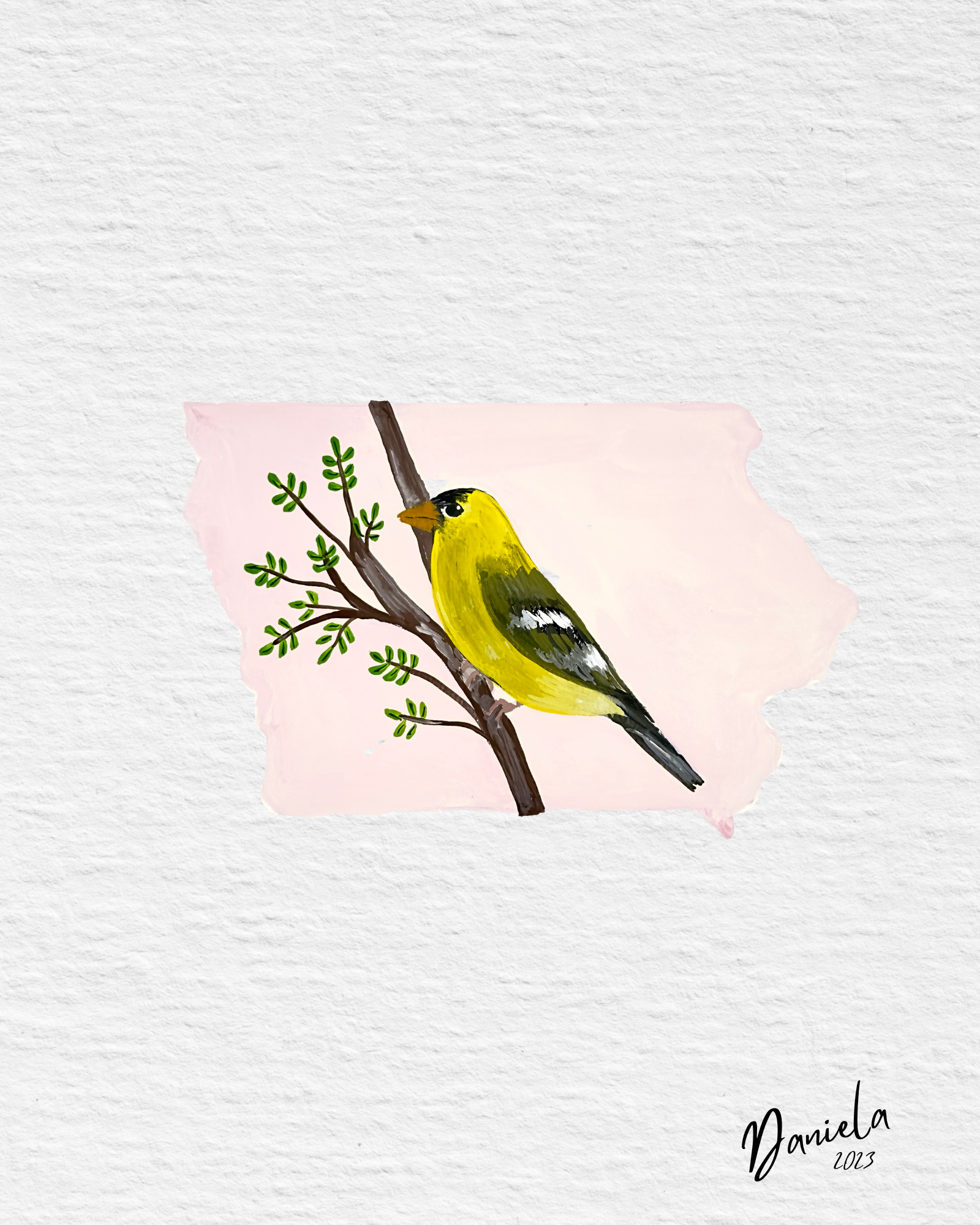 Iowa State Bird Original