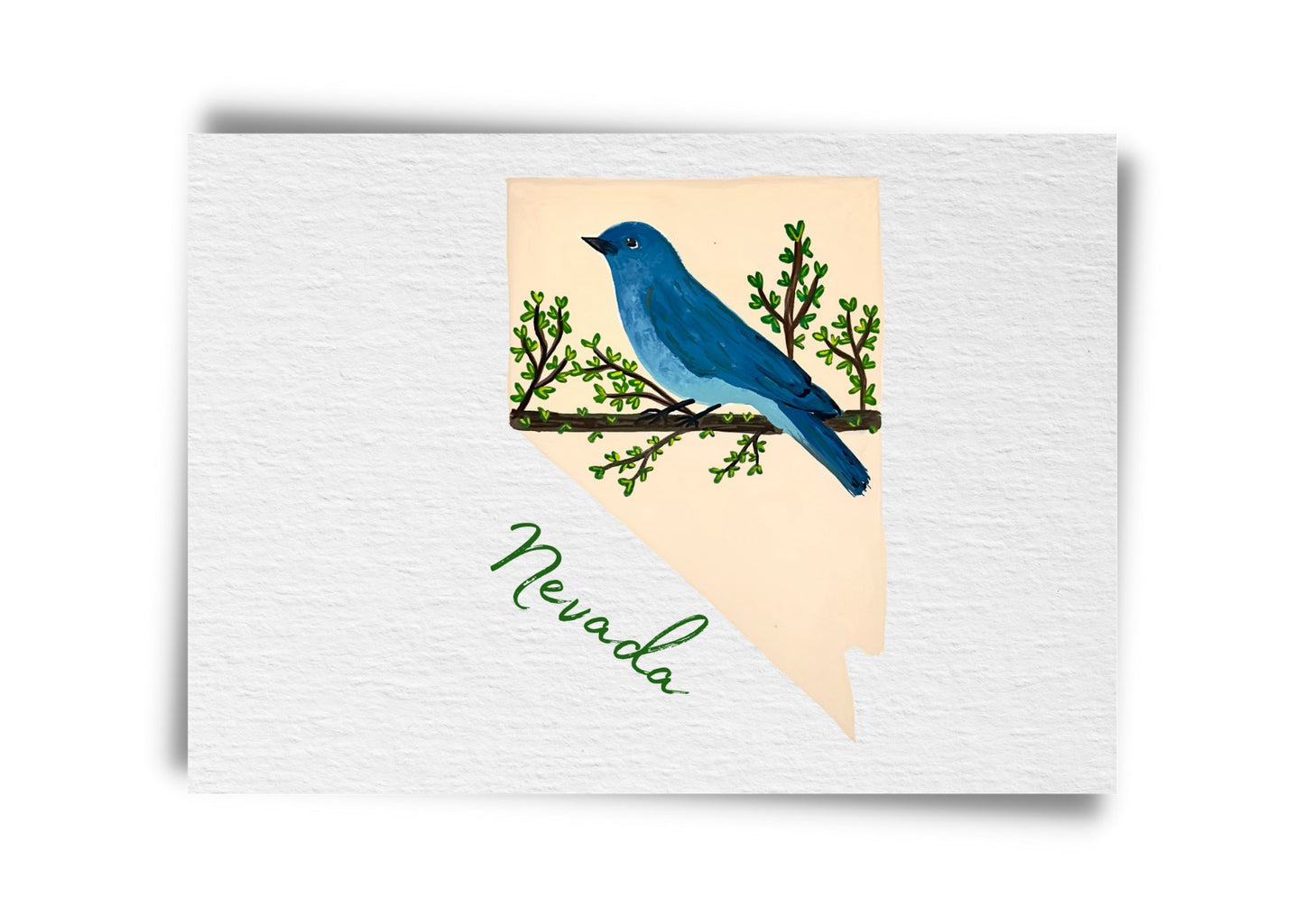 Nevada State Birds Postcard