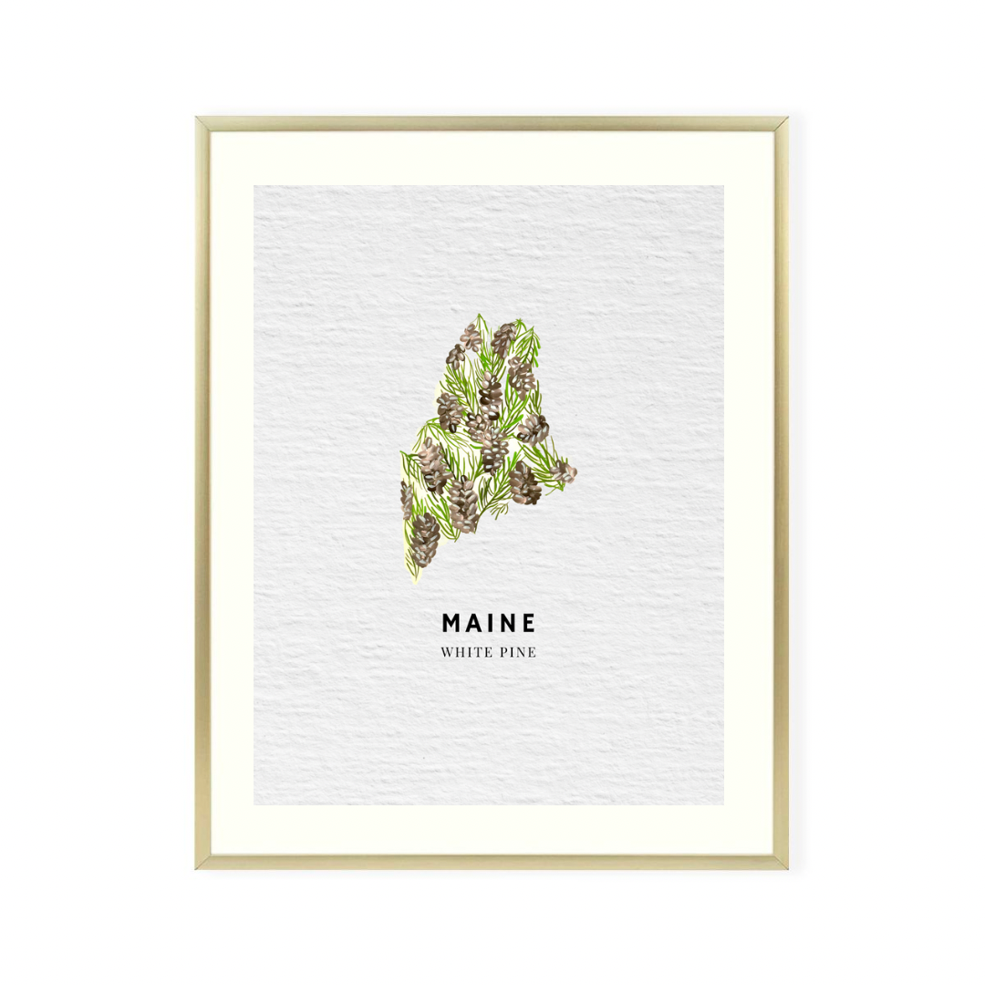 Maine State Flower original