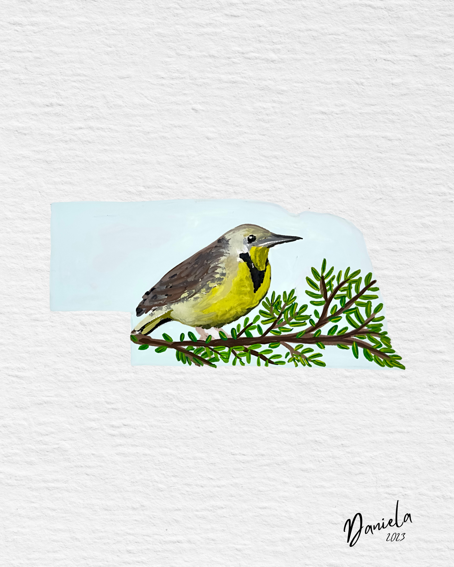 Nebraska State Bird Original