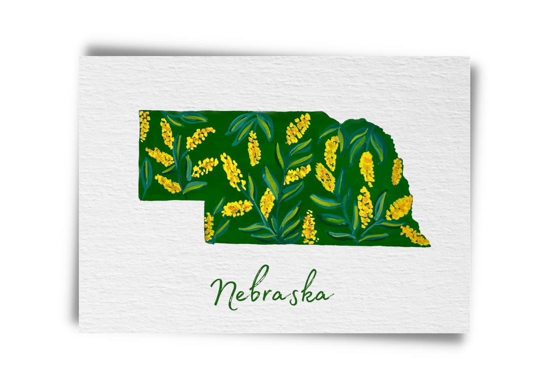Nebraska State Flowers Postcard