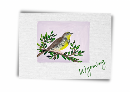 Wyoming State Birds Postcard