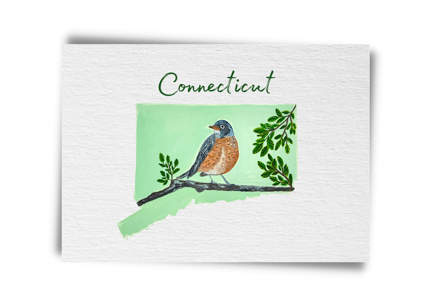 Connecticut State Birds Postcard