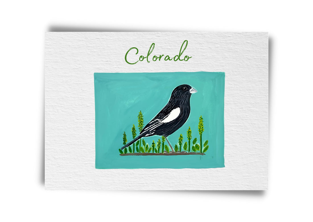 Colorado State Birds Postcard