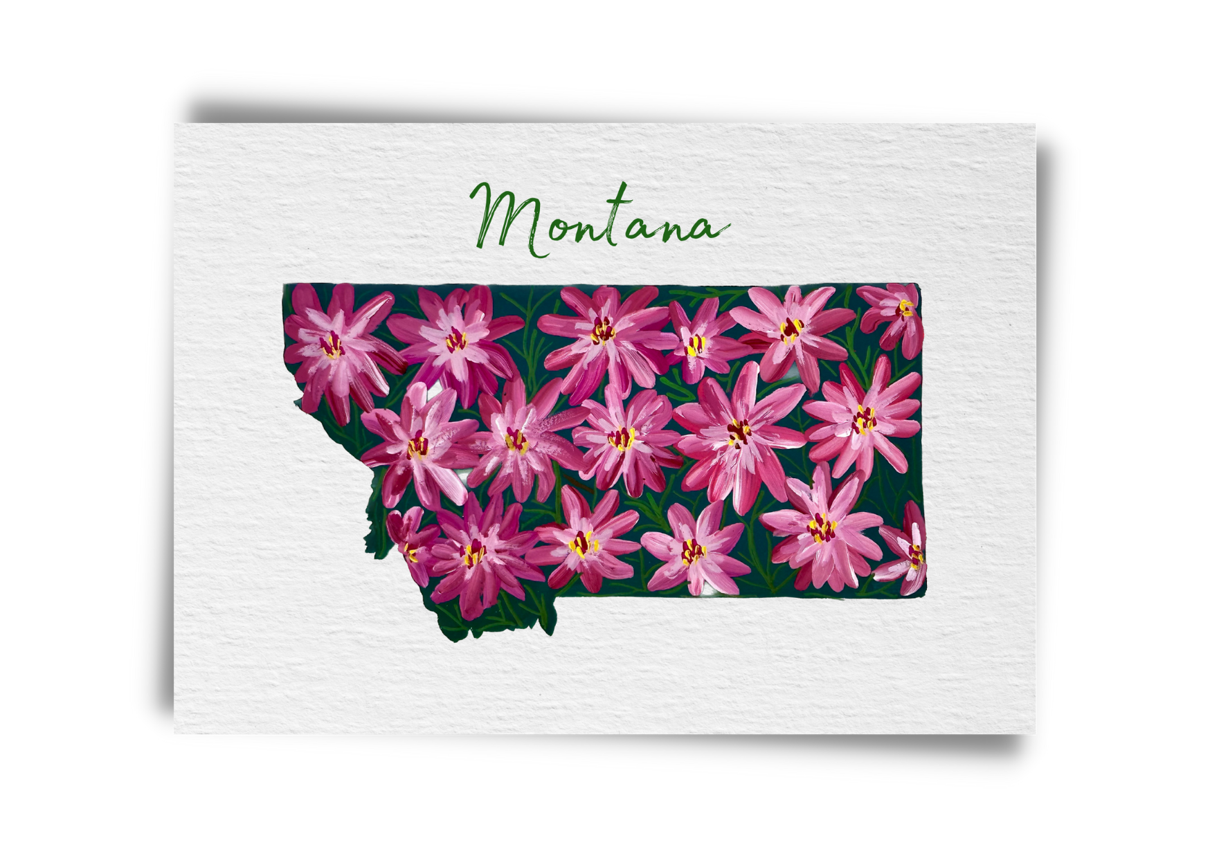 Montana State Flowers Postcard
