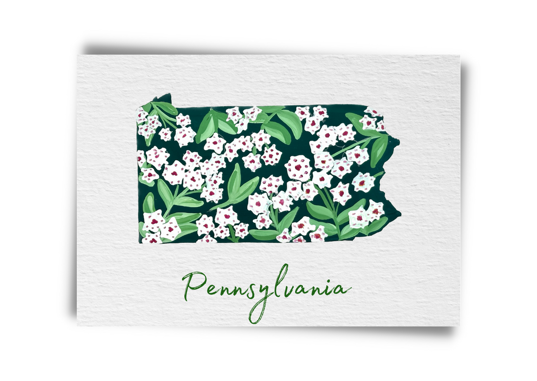 Pennsylvania State Flowers Postcard