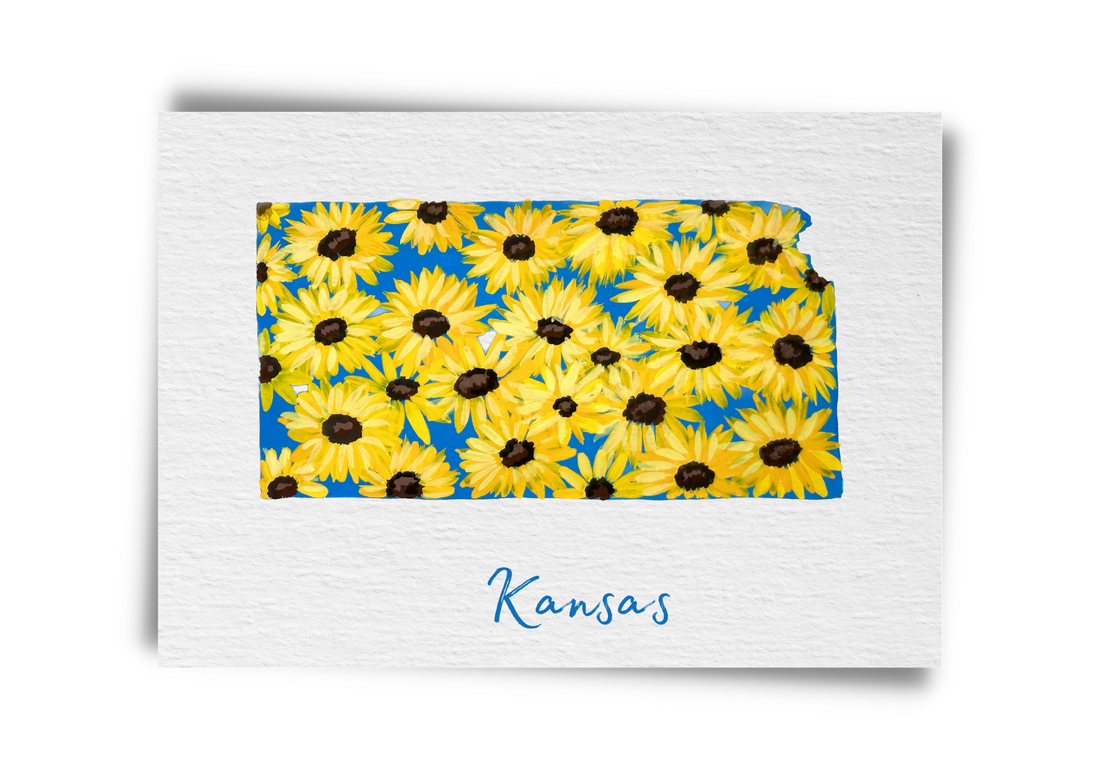 Kansas State Flowers Postcard