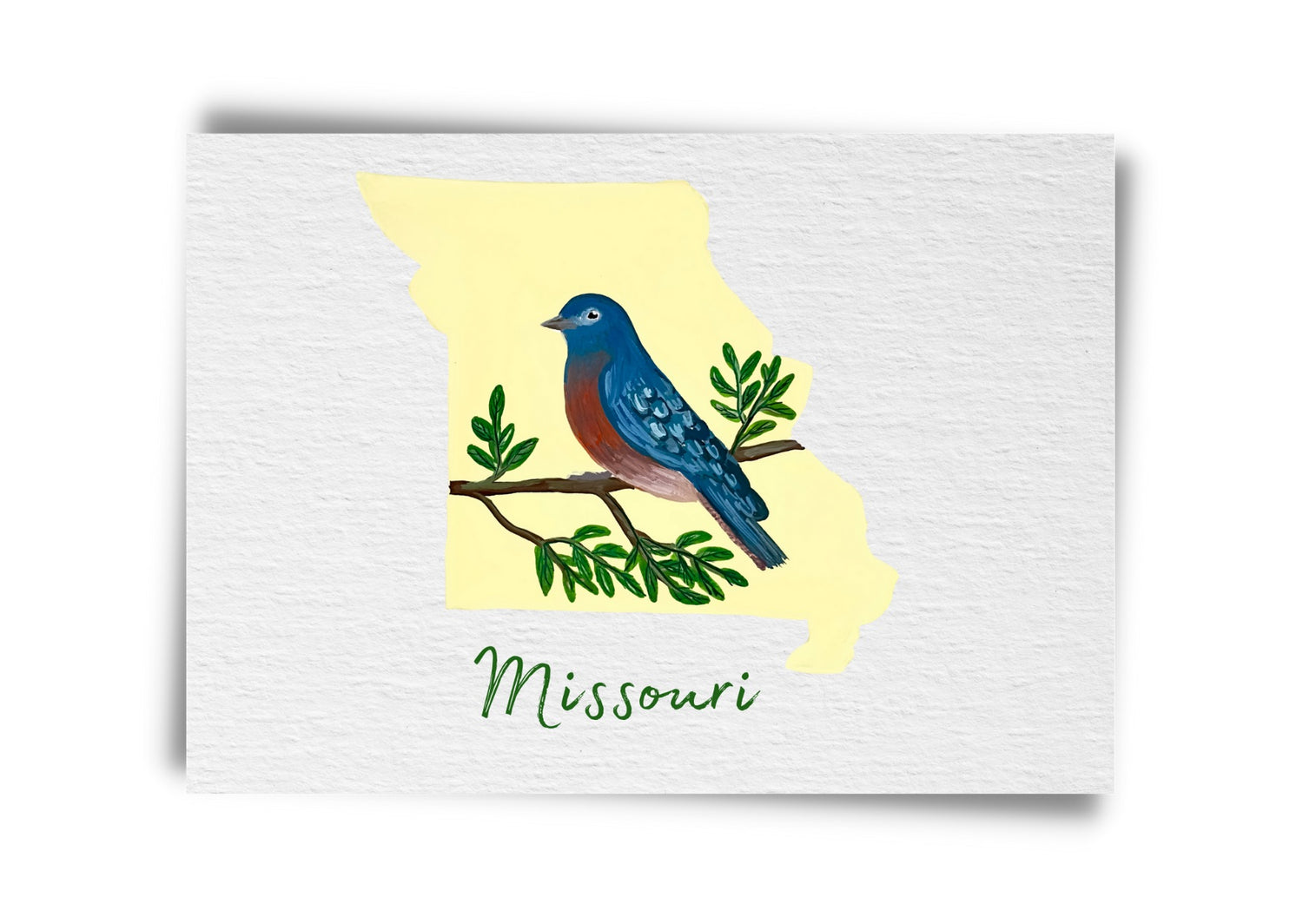 Missouri State Birds Postcard