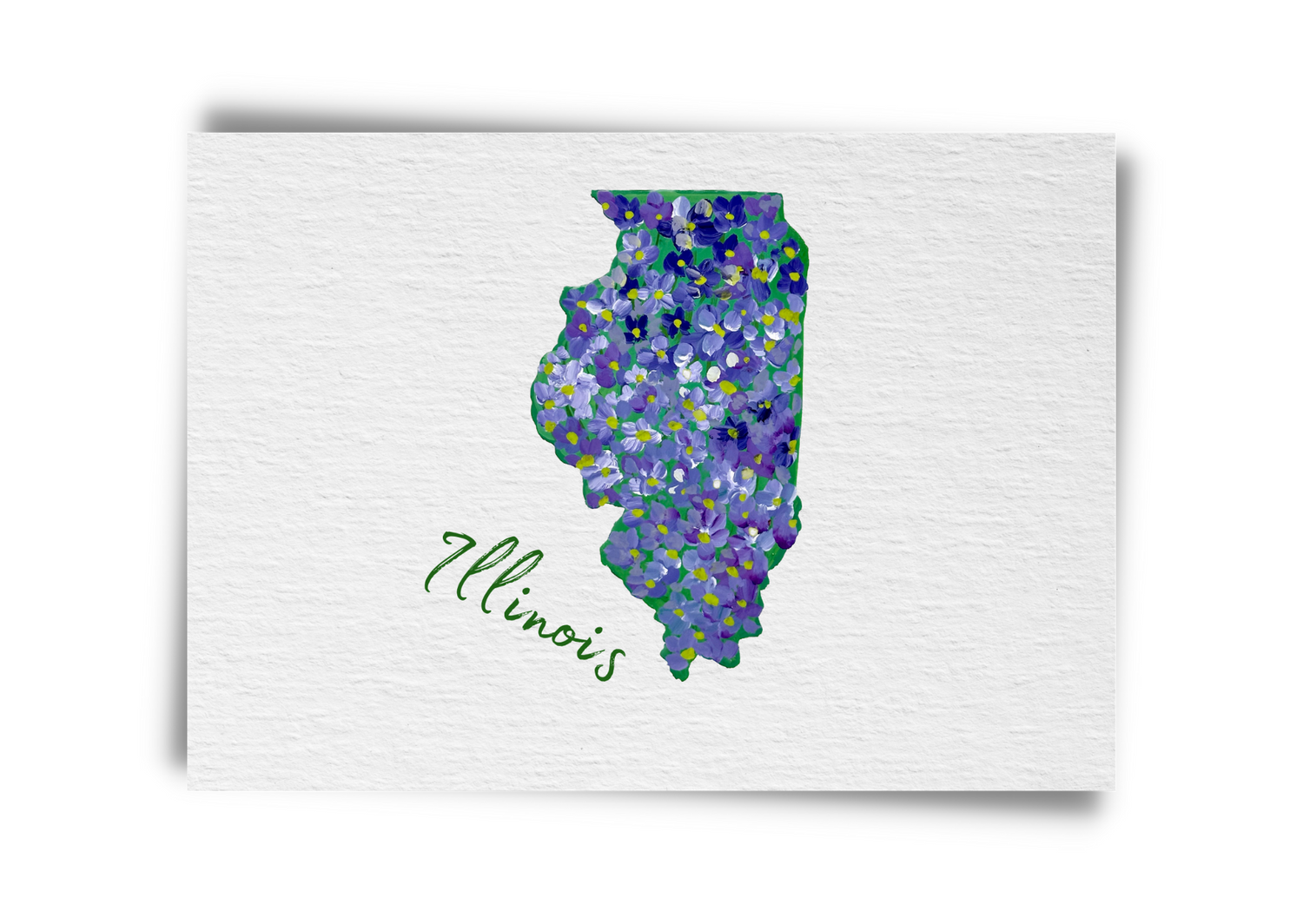 Illinois State Flowers Postcard