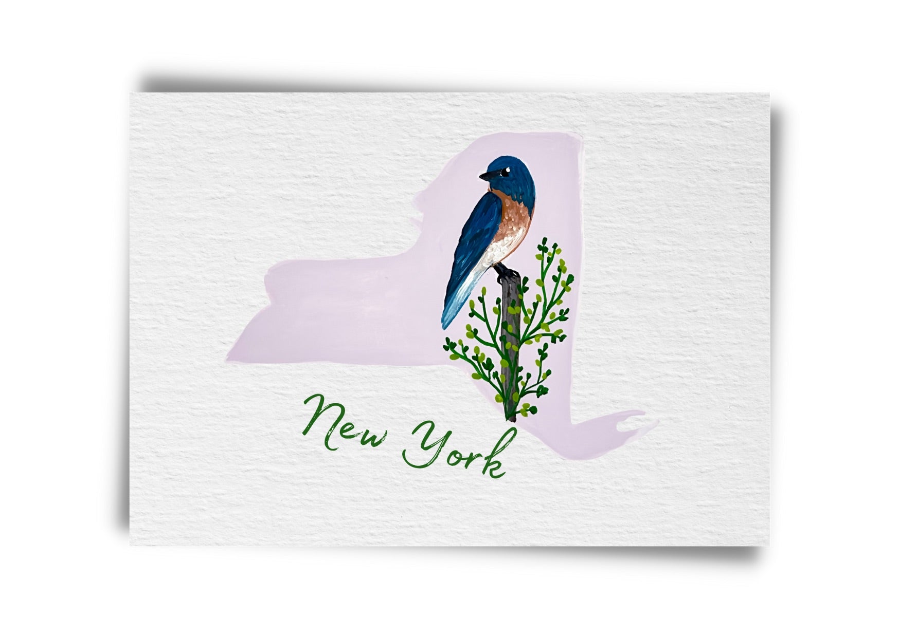 New York State Birds Postcard