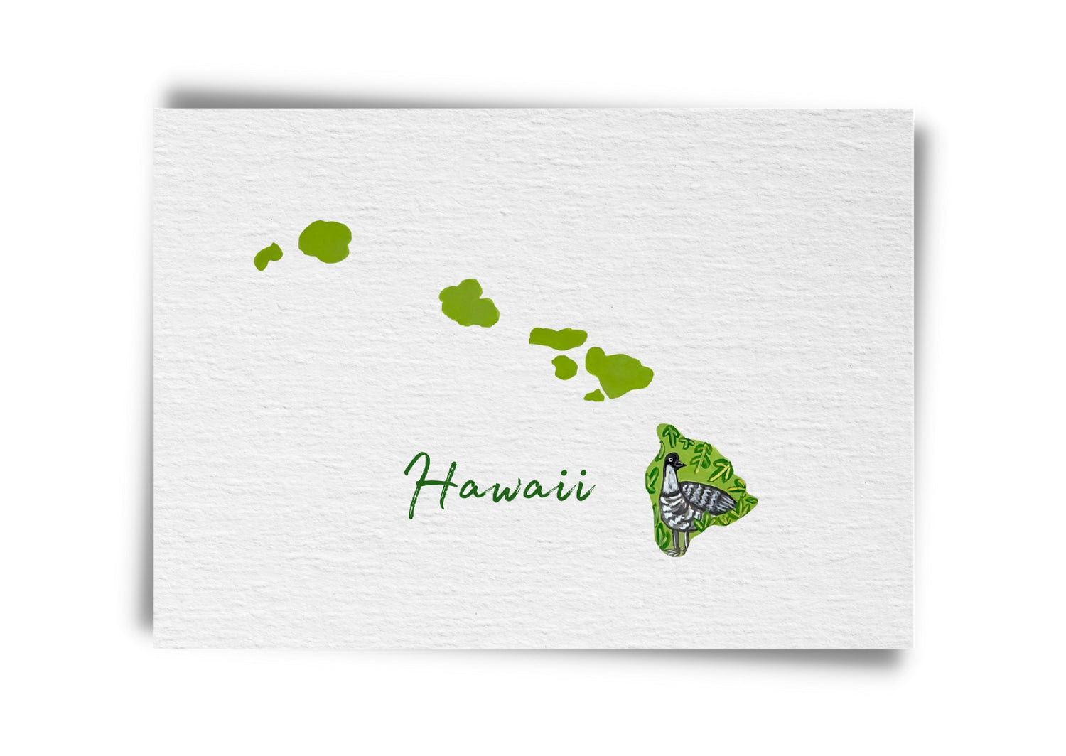 Hawaii State Birds Postcard