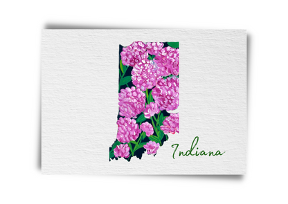 Indiana State Flowers Postcard