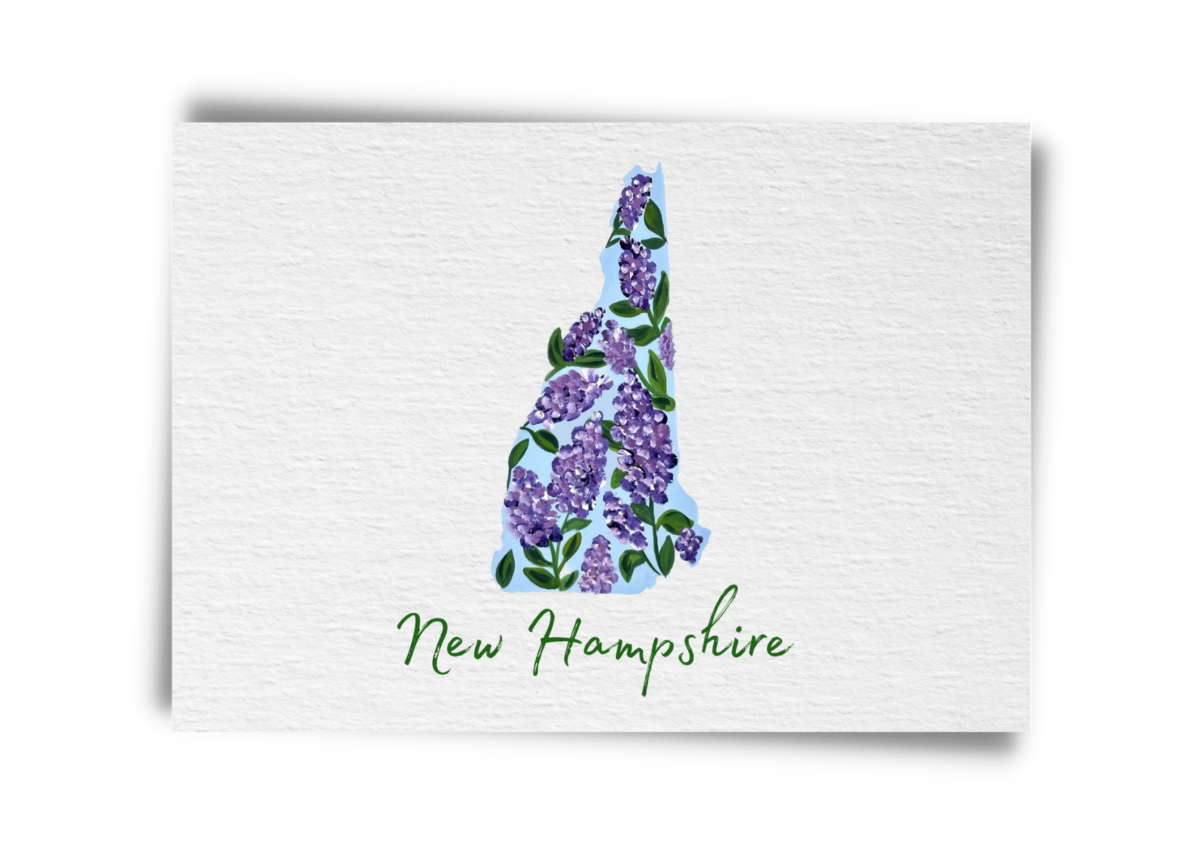 New Hamphire State Flowers Postcard