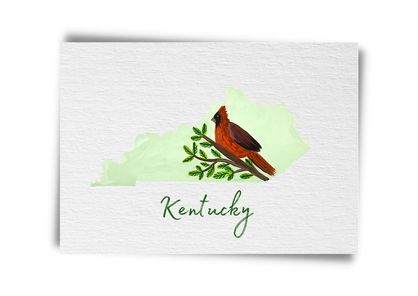 Kentucky State Birds Postcard