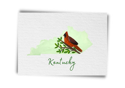 Kentucky State Birds Postcard