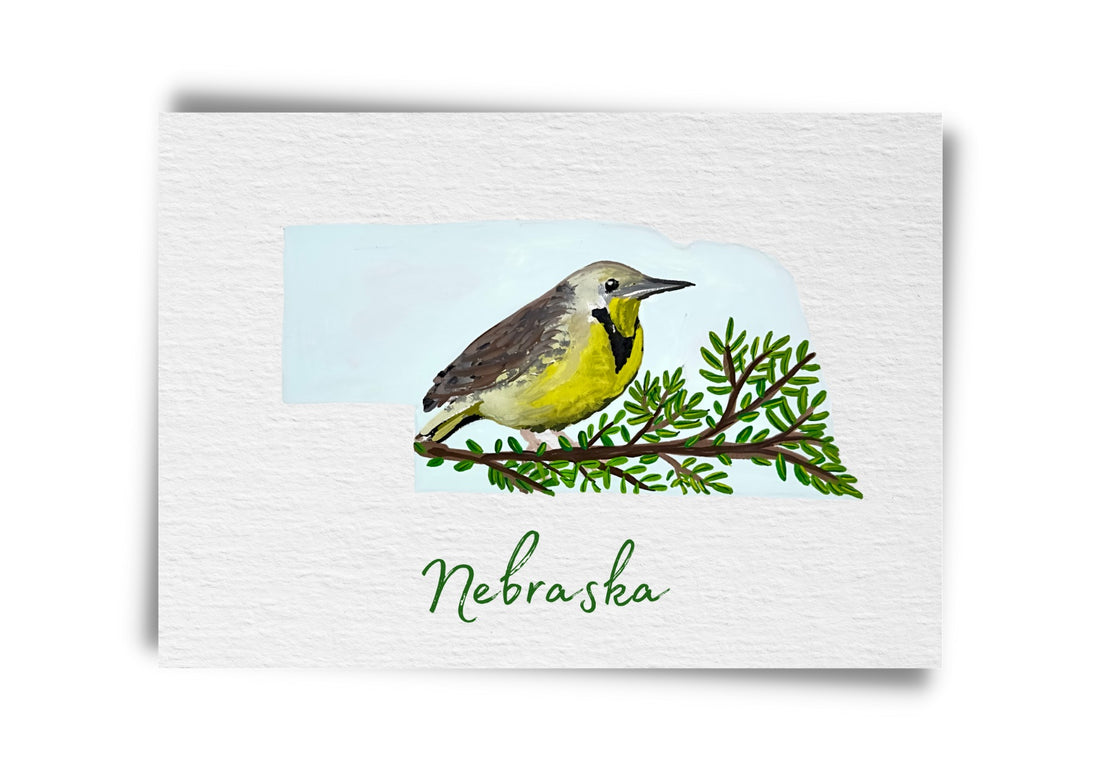 Nebraska State Birds Postcard