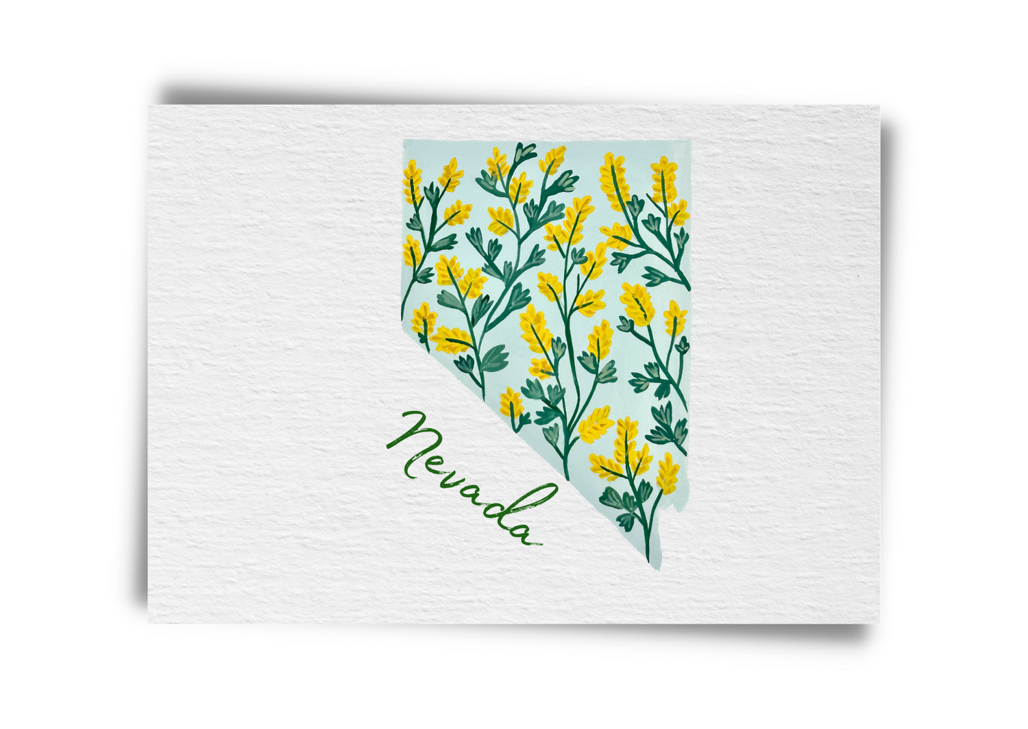 Nevada State Flowers Postcard