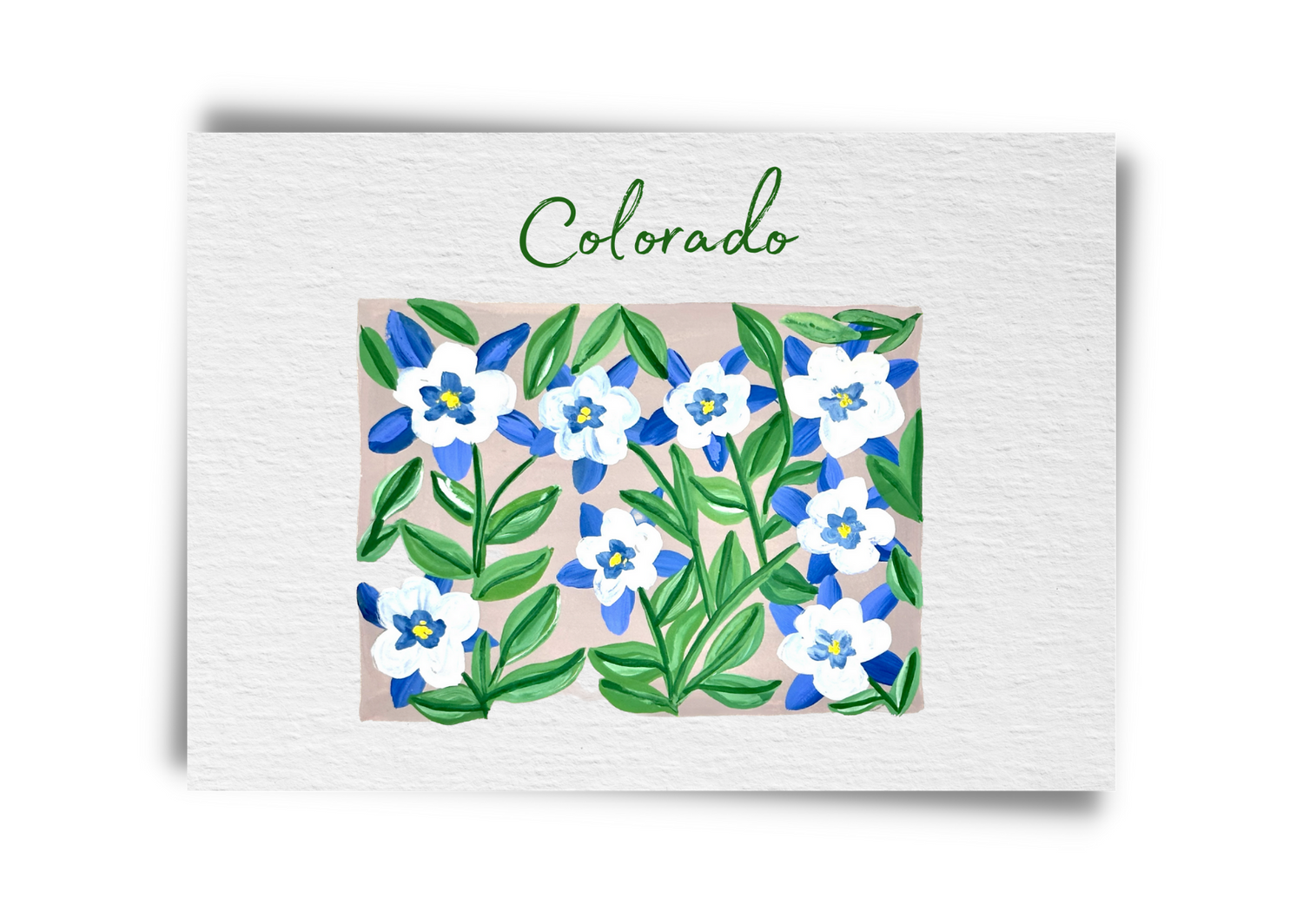 Colorado State Flowers Postcard