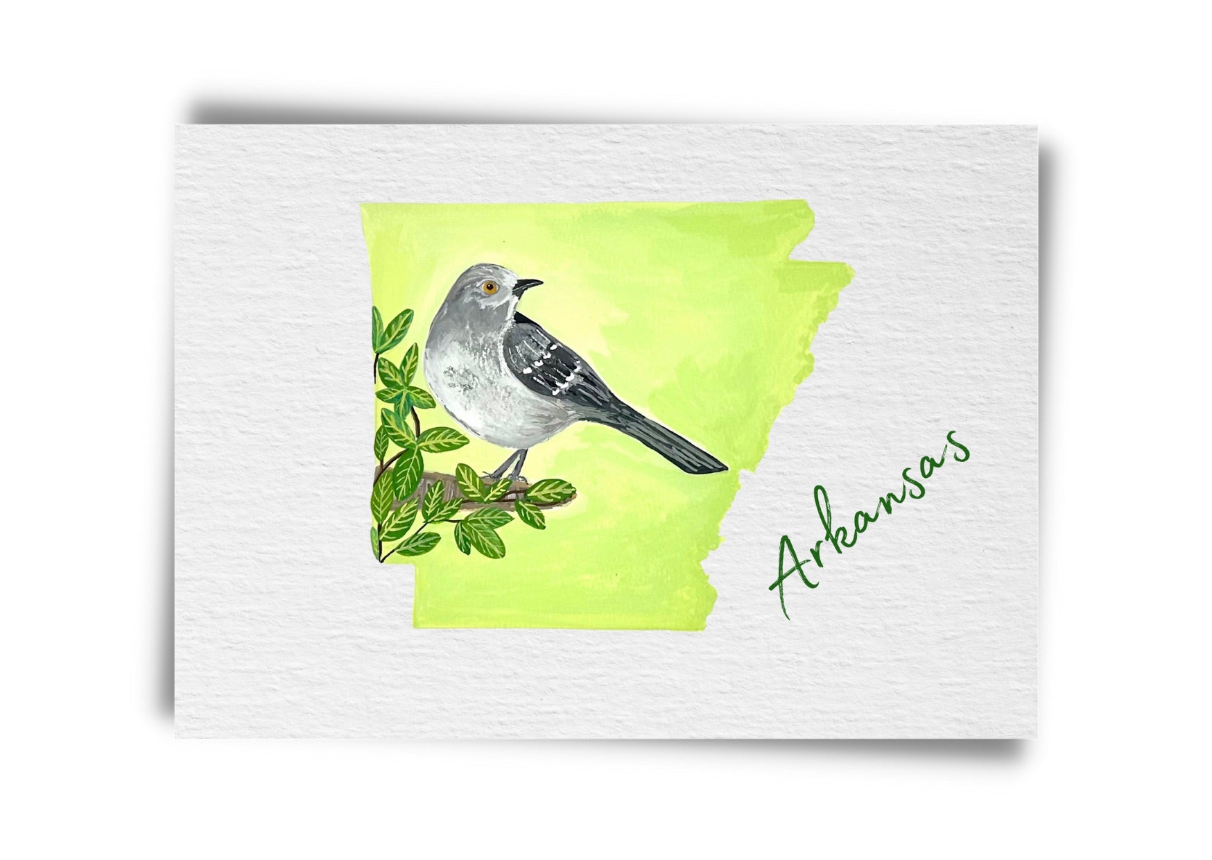 Arkansas State Birds Postcard
