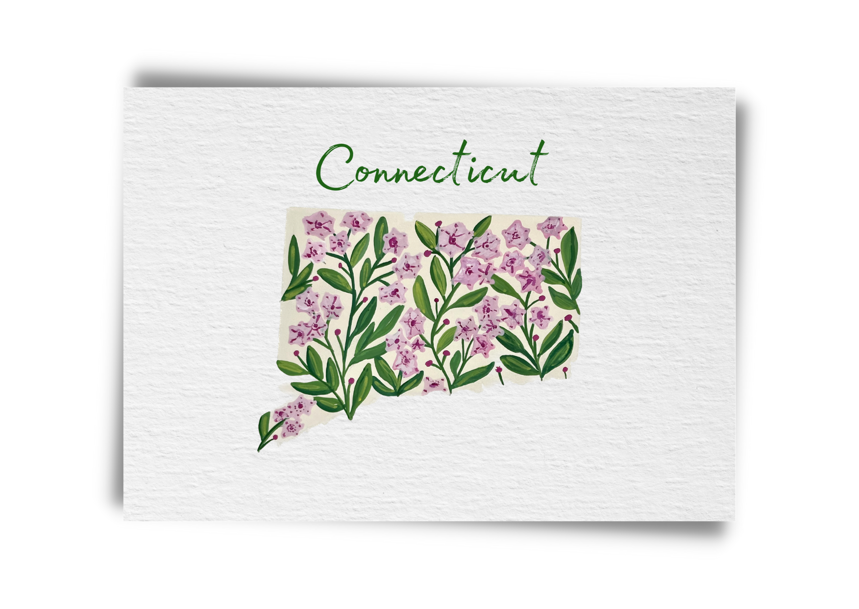 Conneticut State Flowers Postcard