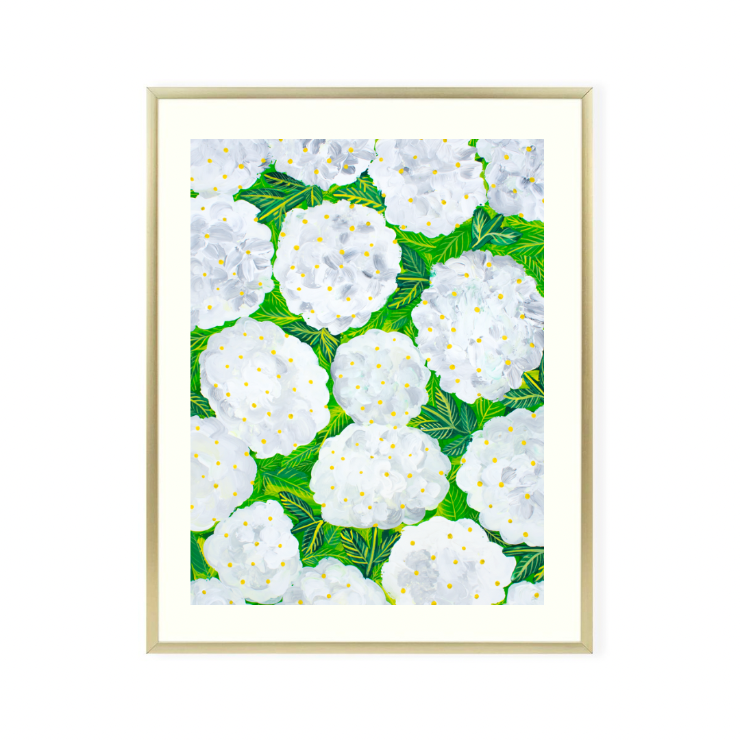 White Hydrangea original