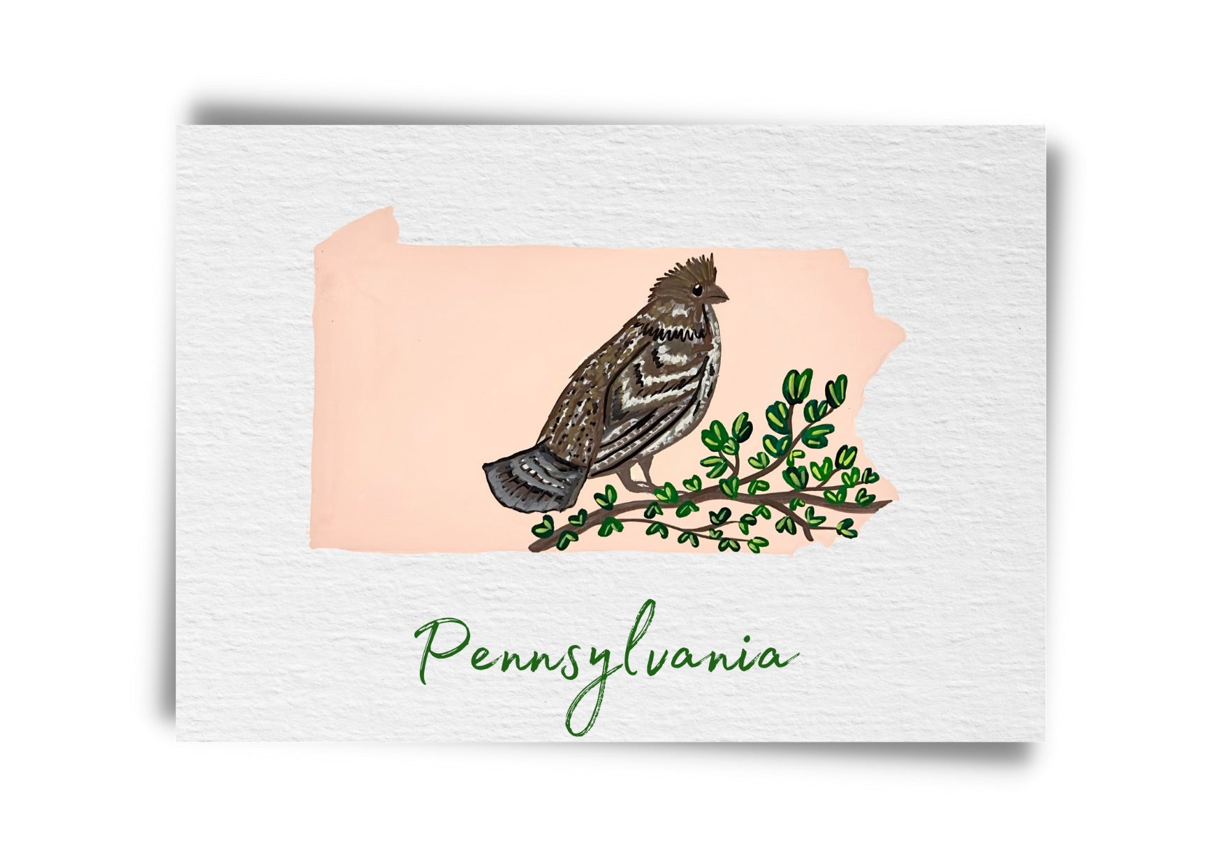 Pennsylvania State Birds Postcard