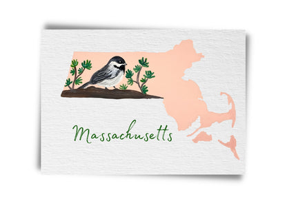 Massachusetts State Birds Postcard