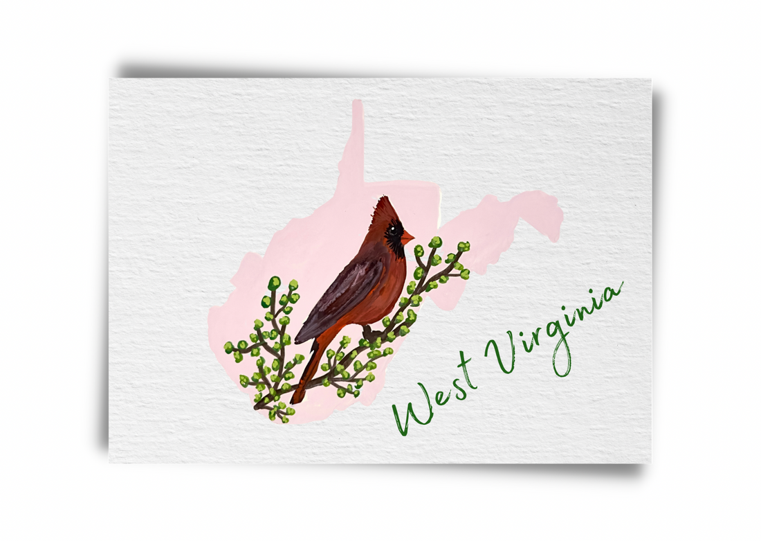 West Virginia State Birds Postcard