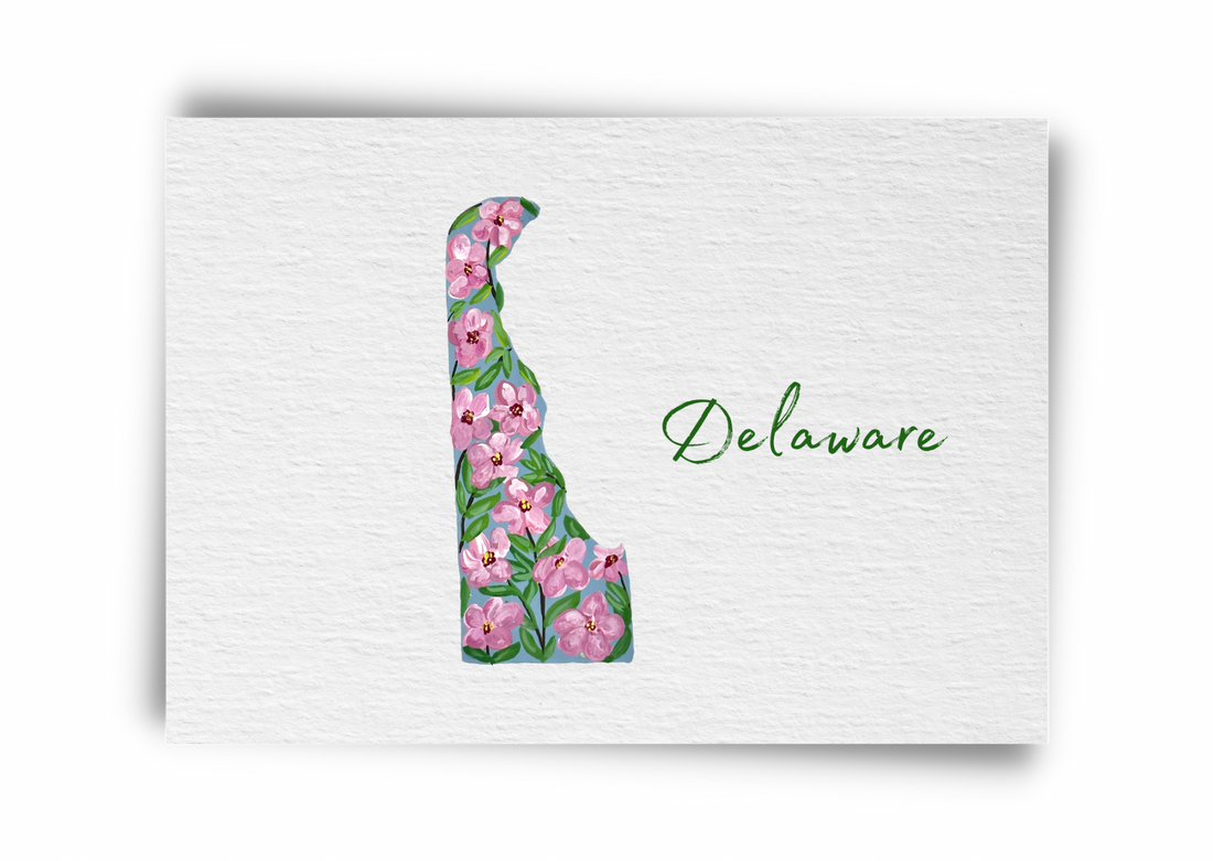 Delaware State Flowers Postcard
