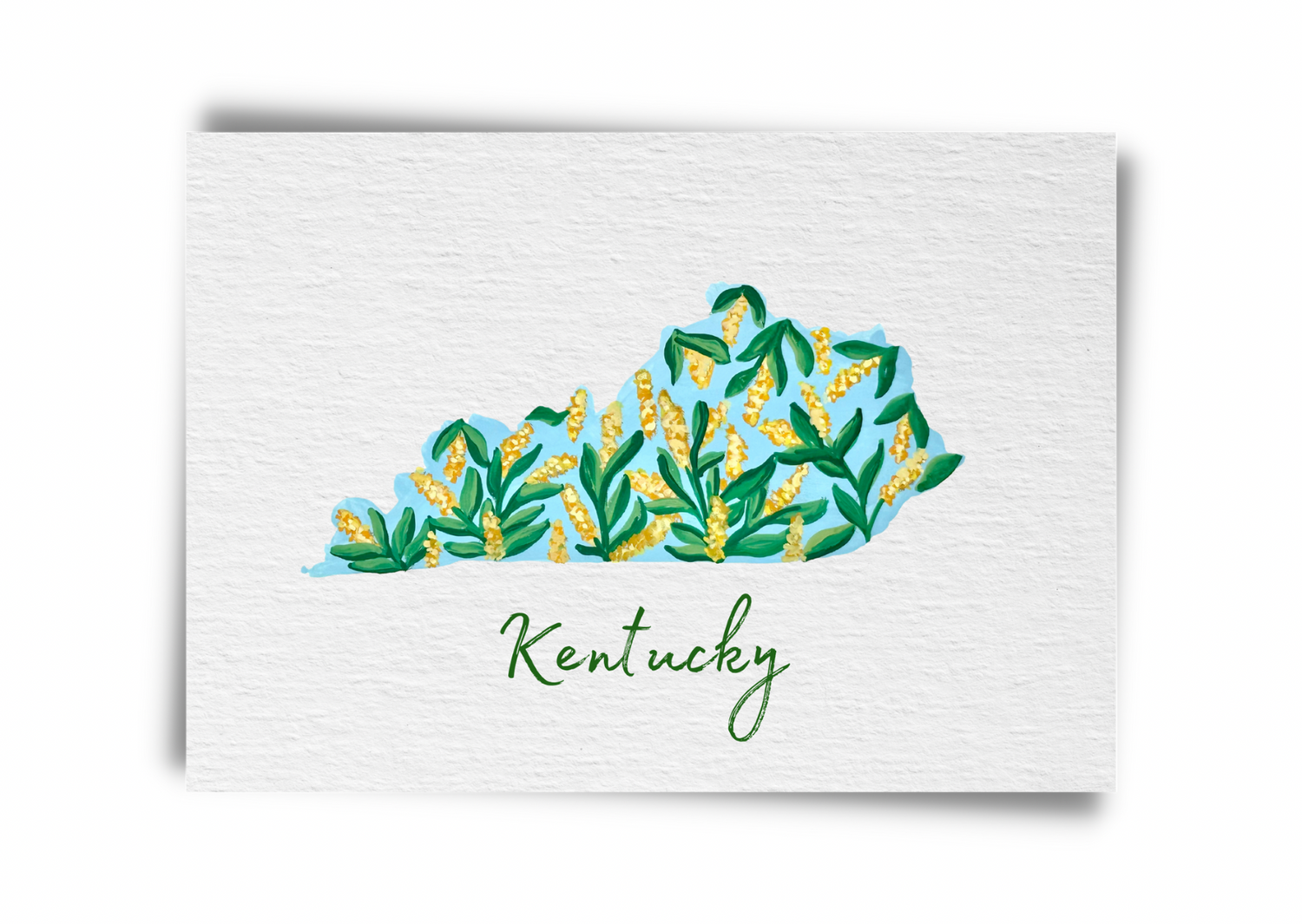 Kentucky State Flowers Postcard