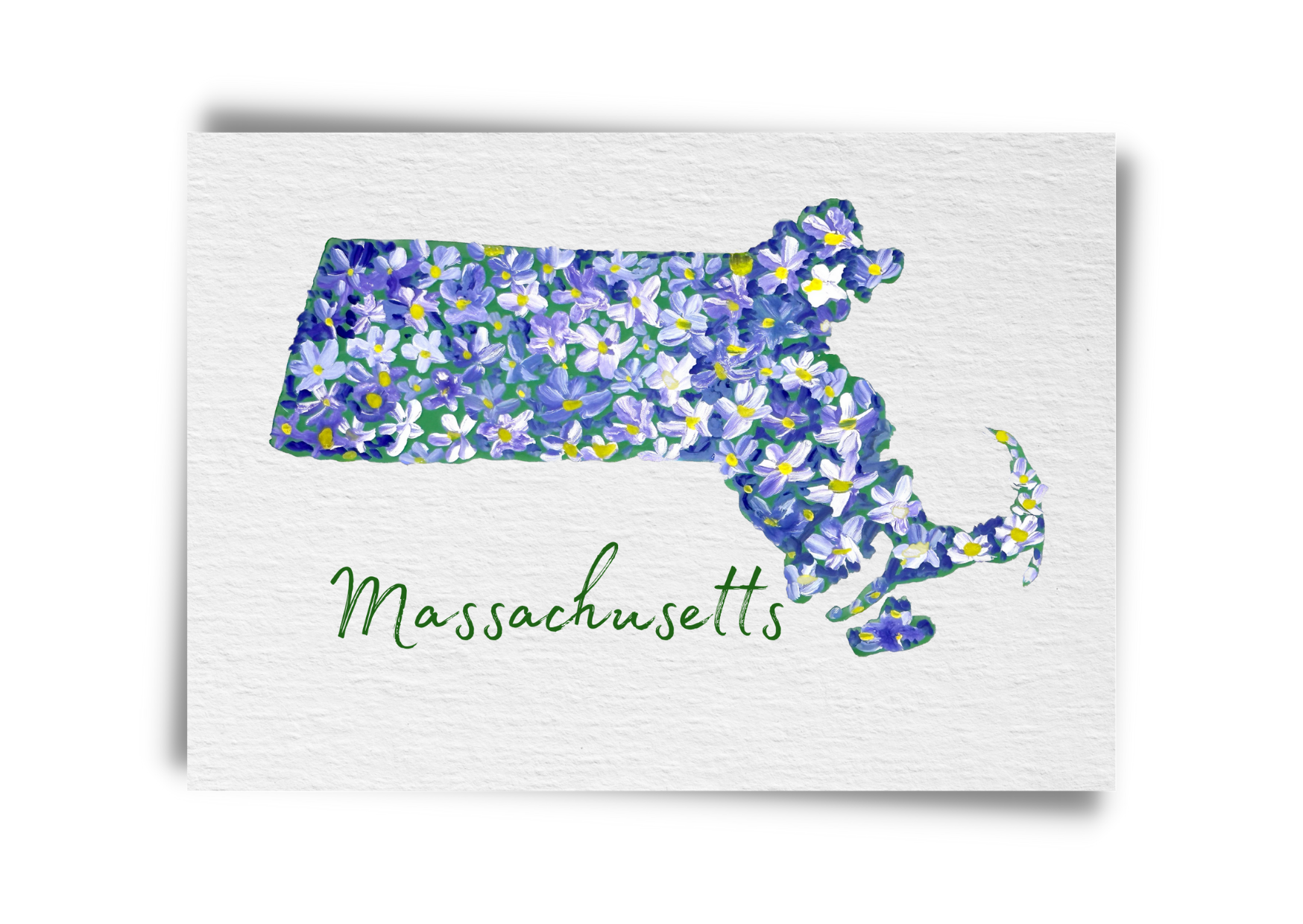 Massachusetts State Flowers Postcard