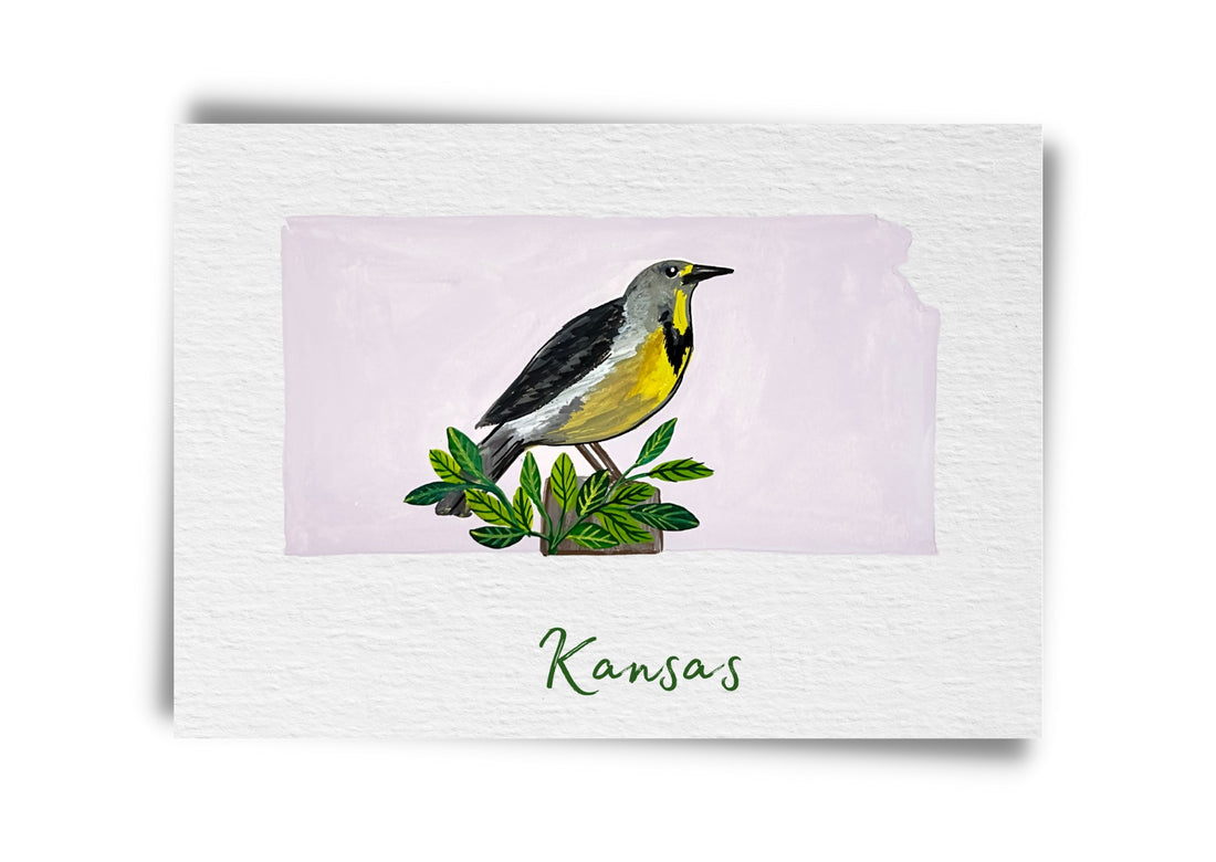 Kansas State Birds Postcard
